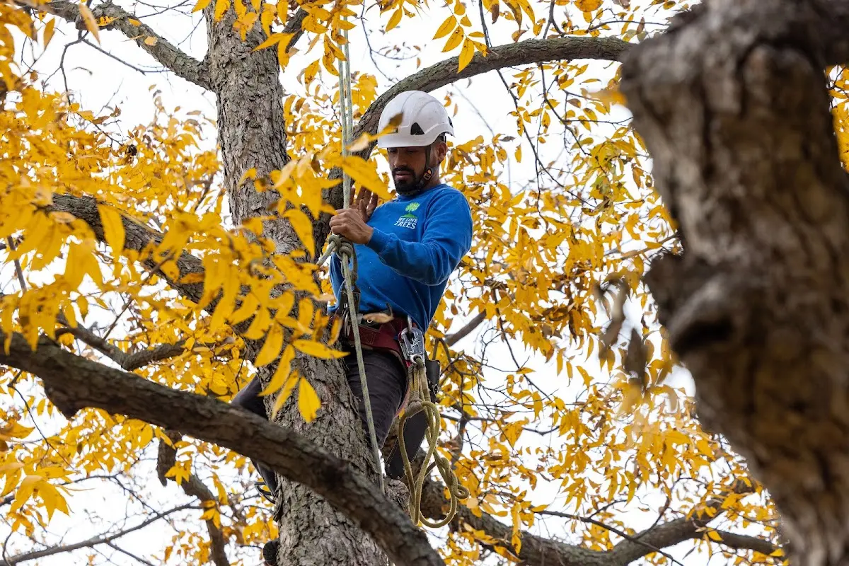 Skilled Storm Damage Cleanup crew working in Monmouth